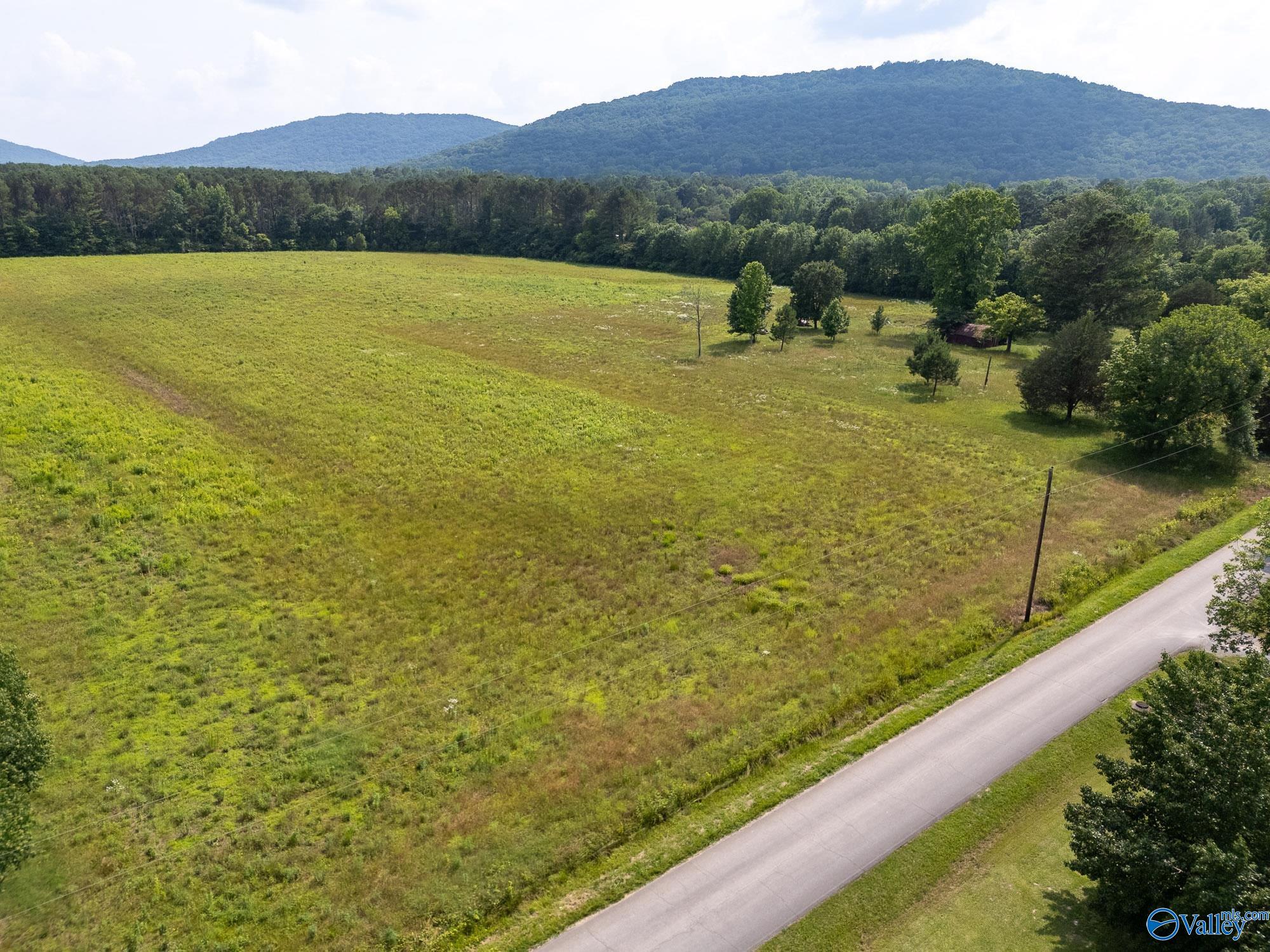 440 Maples Lane, New Hope, Alabama image 9
