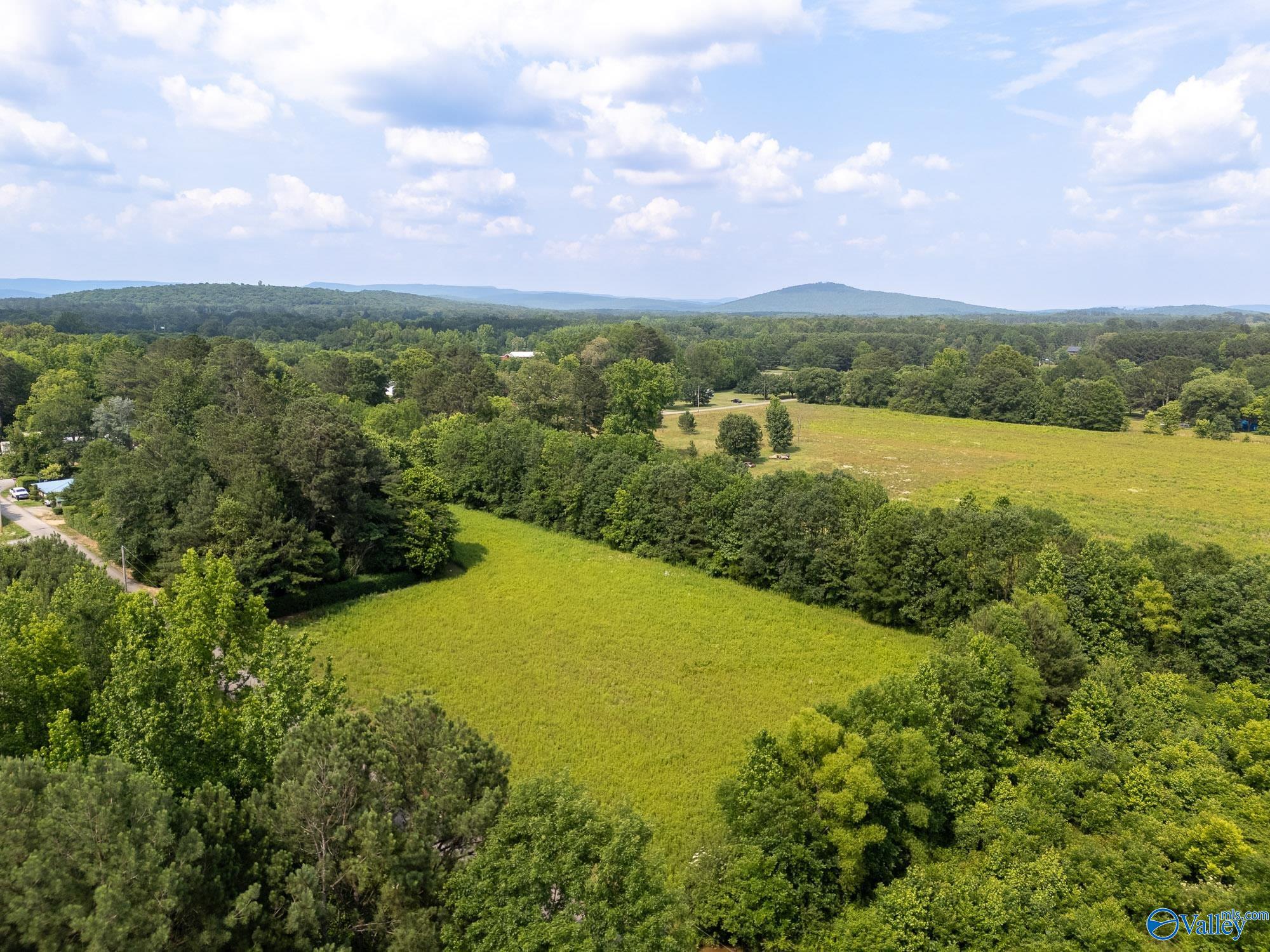 440 Maples Lane, New Hope, Alabama image 11