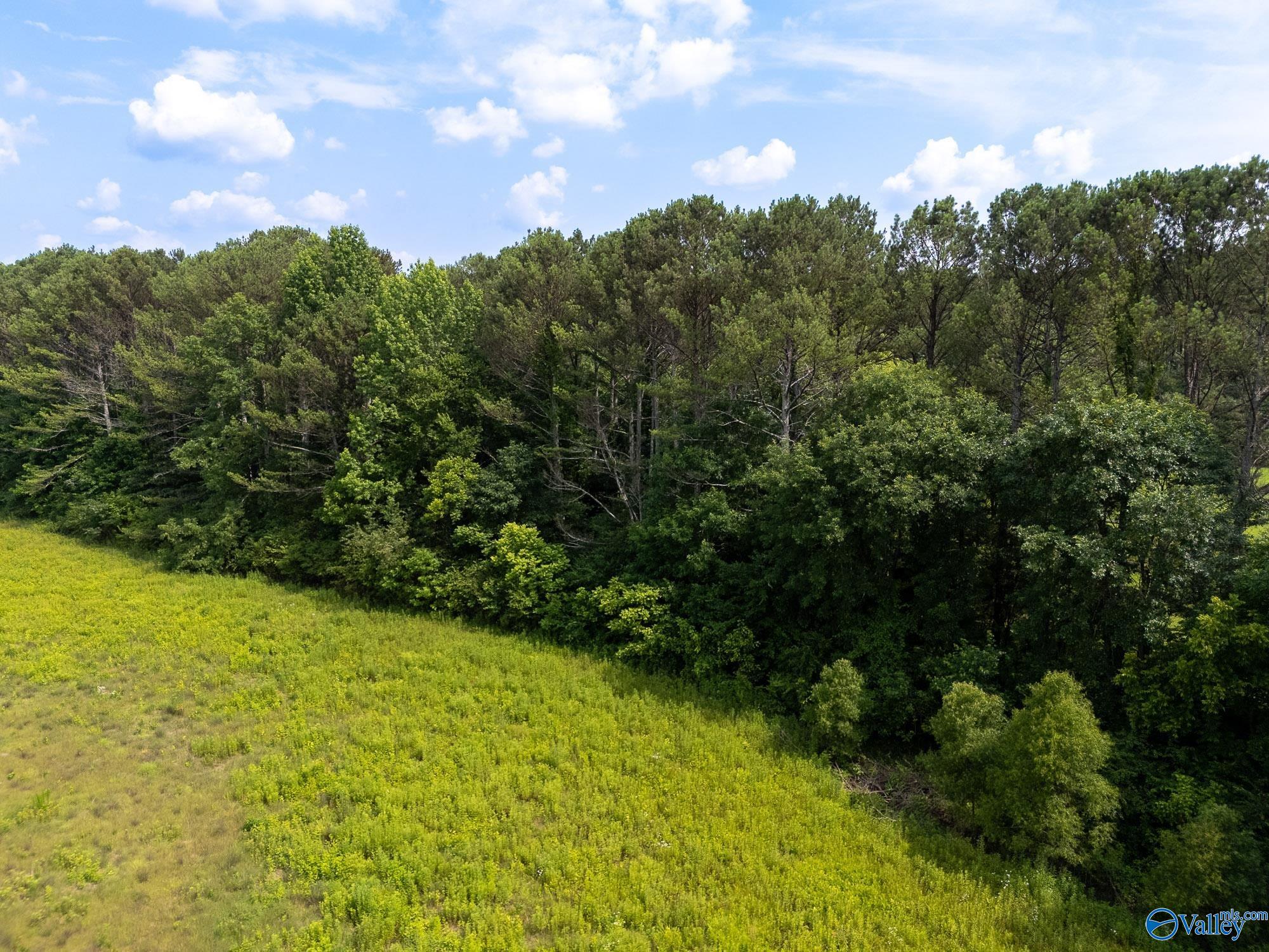 440 Maples Lane, New Hope, Alabama image 13
