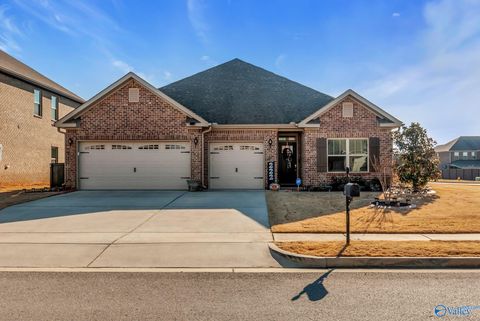 Homes For Sale - 222 Holt Street<br/> Meridianville, AL 35759