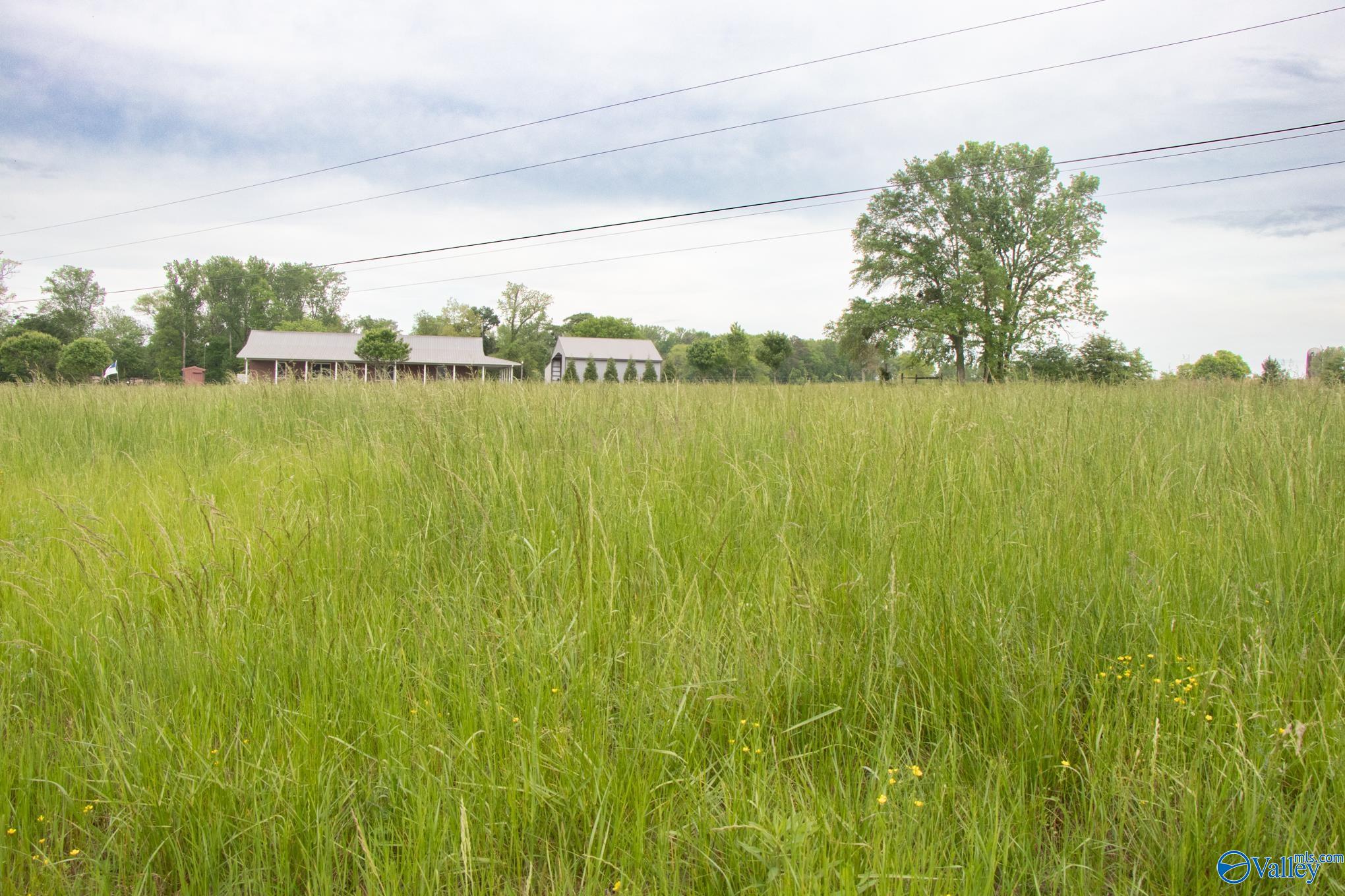 440 Crawford Road, Horton, Alabama image 7