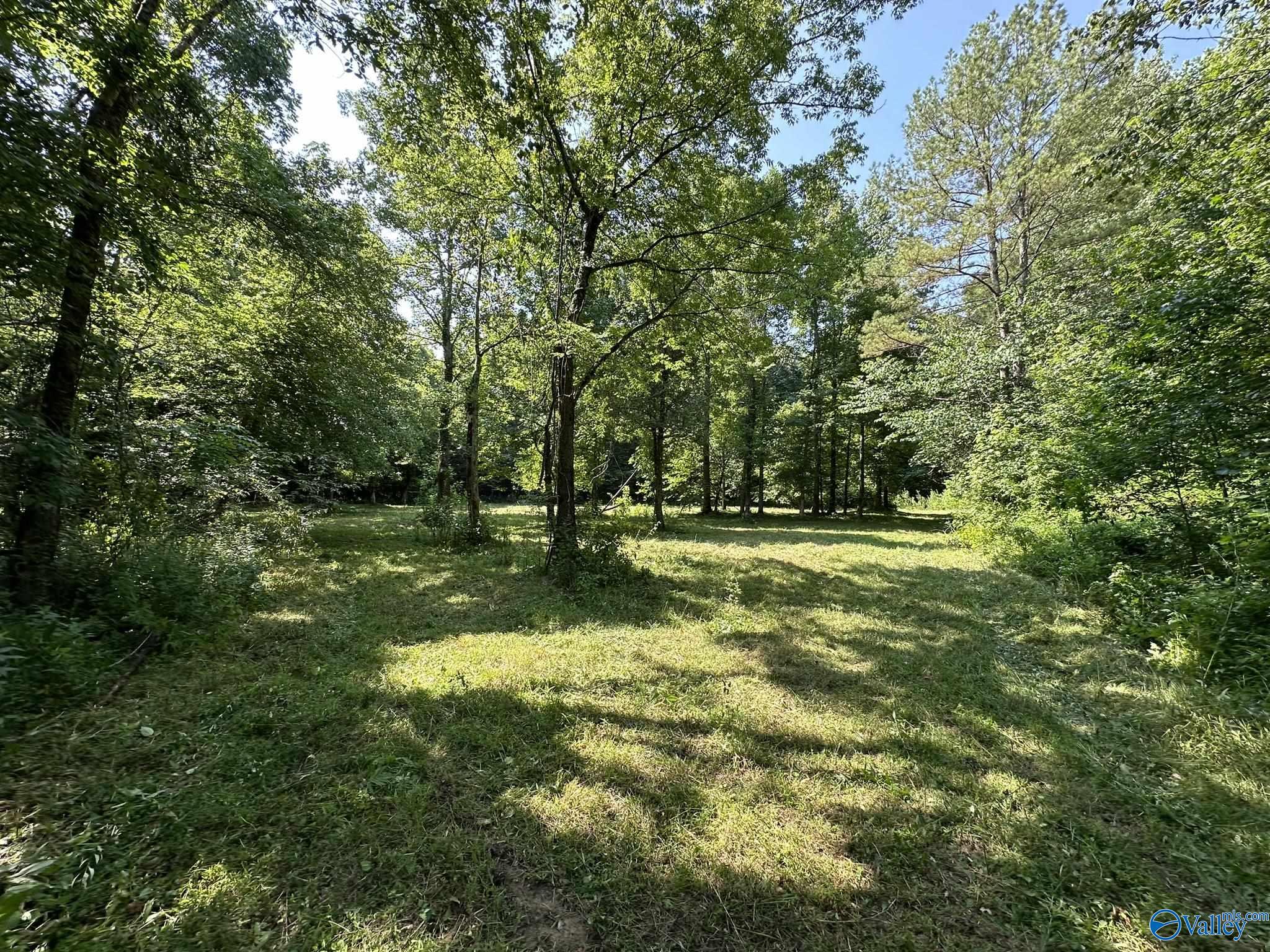 42 Acres Lane Road, Cherokee, Alabama image 2