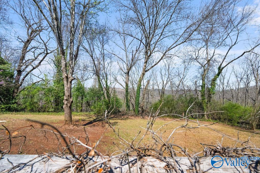 2424 Scenic Drive, Gadsden, Alabama image 35