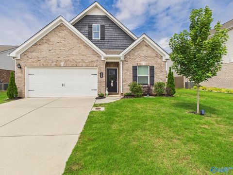 Photo of 166 Morning Dew Road, Toney, AL 35773 (MLS # 21919128)