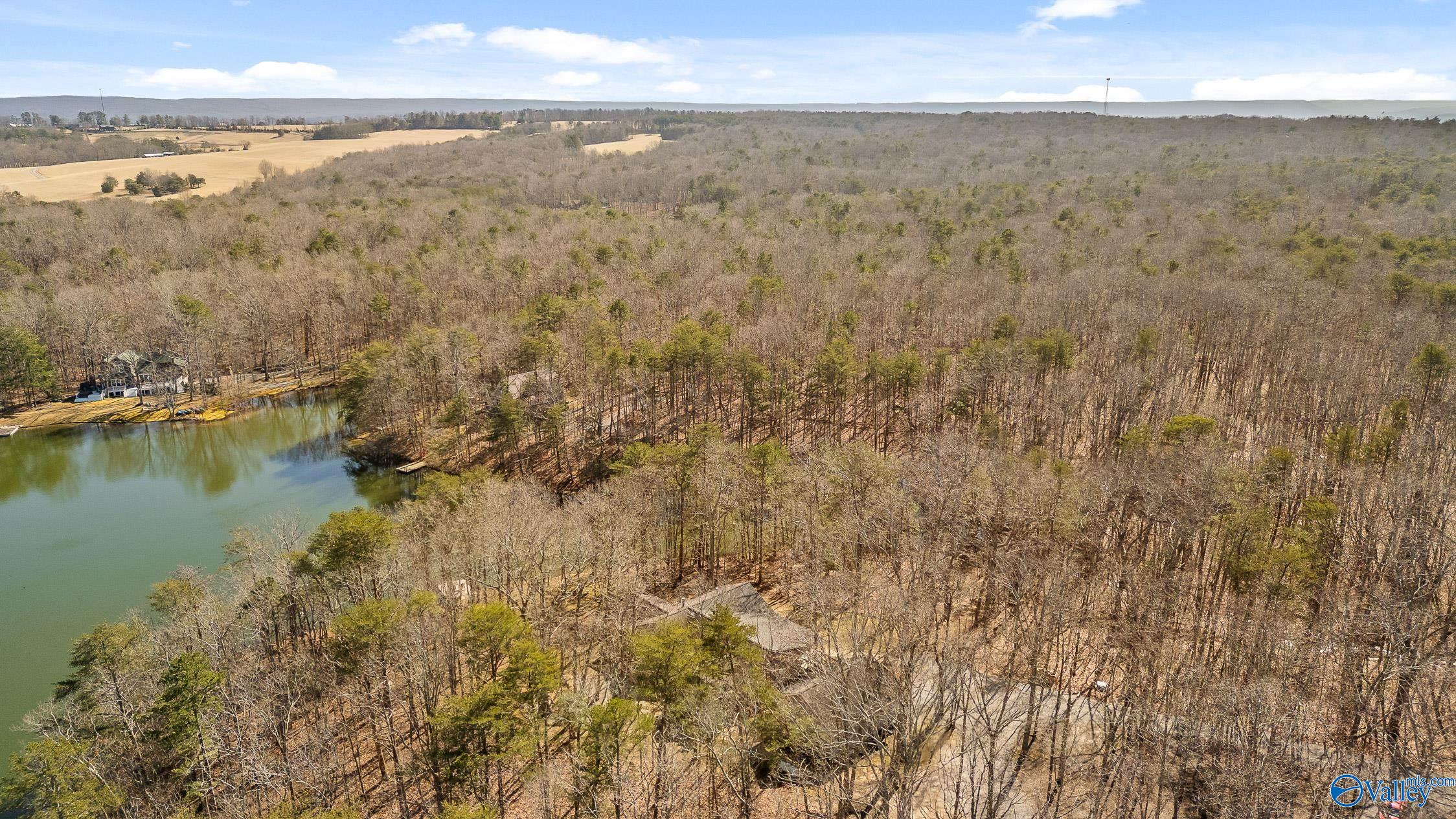 242 Mac Lake Drive, Rising Fawn, Georgia image 46