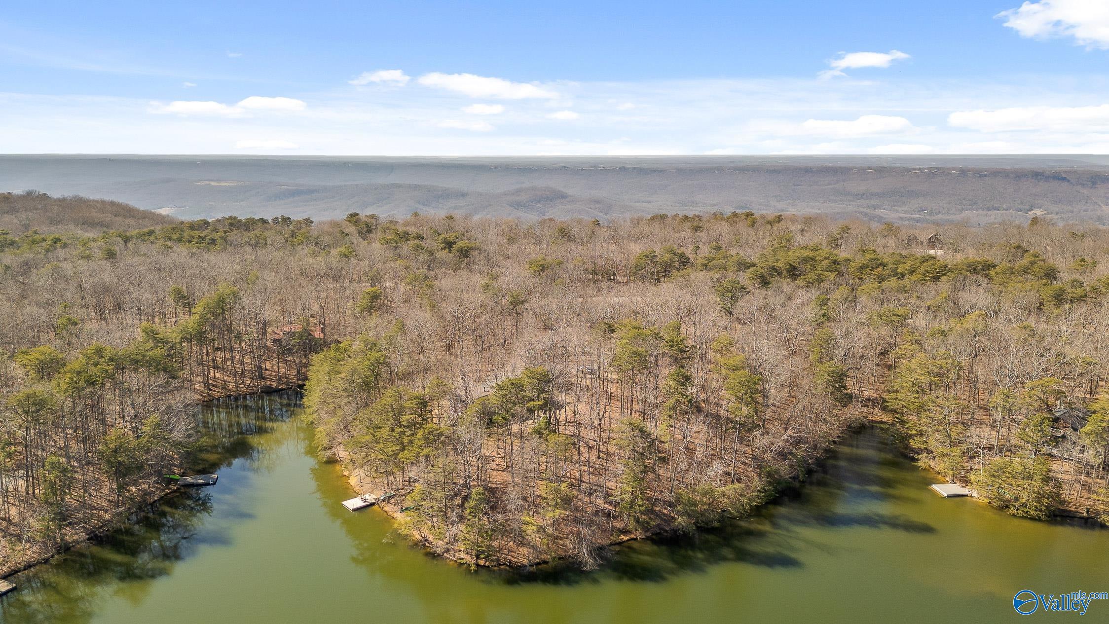 242 Mac Lake Drive, Rising Fawn, Georgia image 40