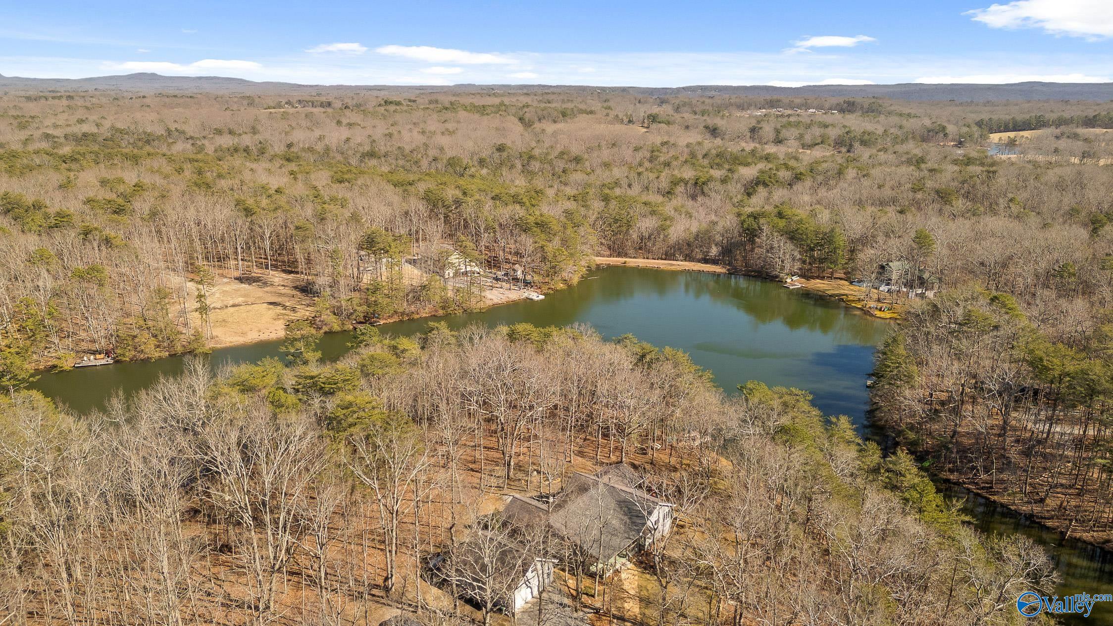 242 Mac Lake Drive, Rising Fawn, Georgia image 44
