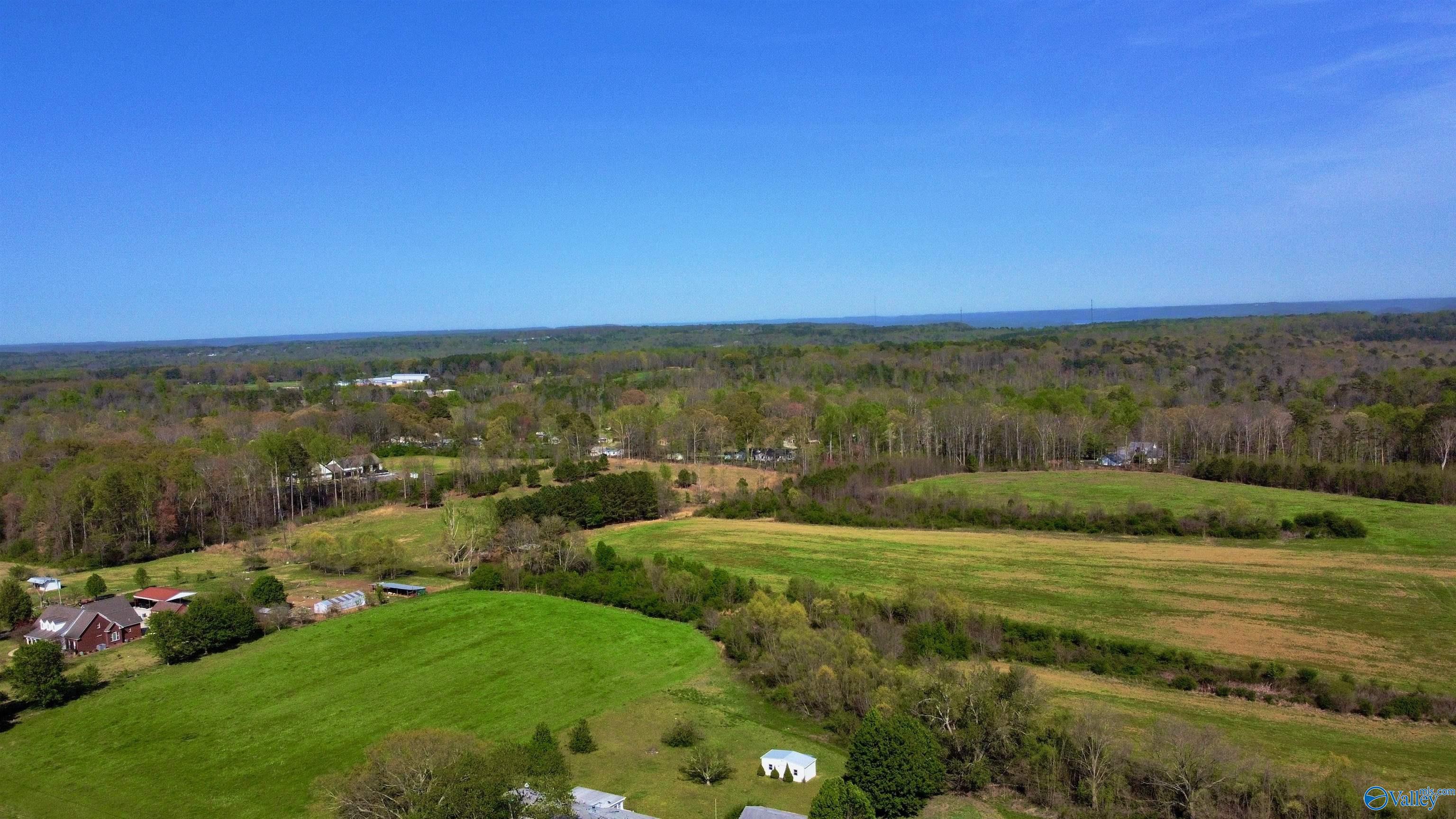 6539 Brashiers Chapel Road, Arab, Alabama image 37