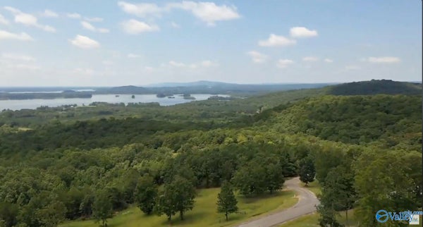 LOT 46 COUNTY ROAD 1016 # 46, CEDAR BLUFF, AL 35959 - Image 38bbbfb4cbc75394fc88557c81bc5432/850493275