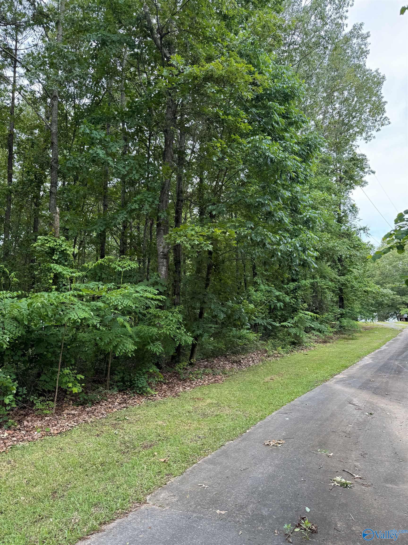 2585 County Road 67, Scottsboro, Alabama image 29