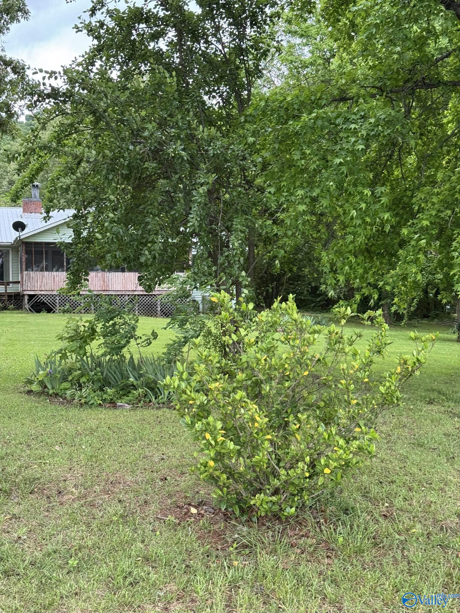 2585 County Road 67, Scottsboro, Alabama image 9