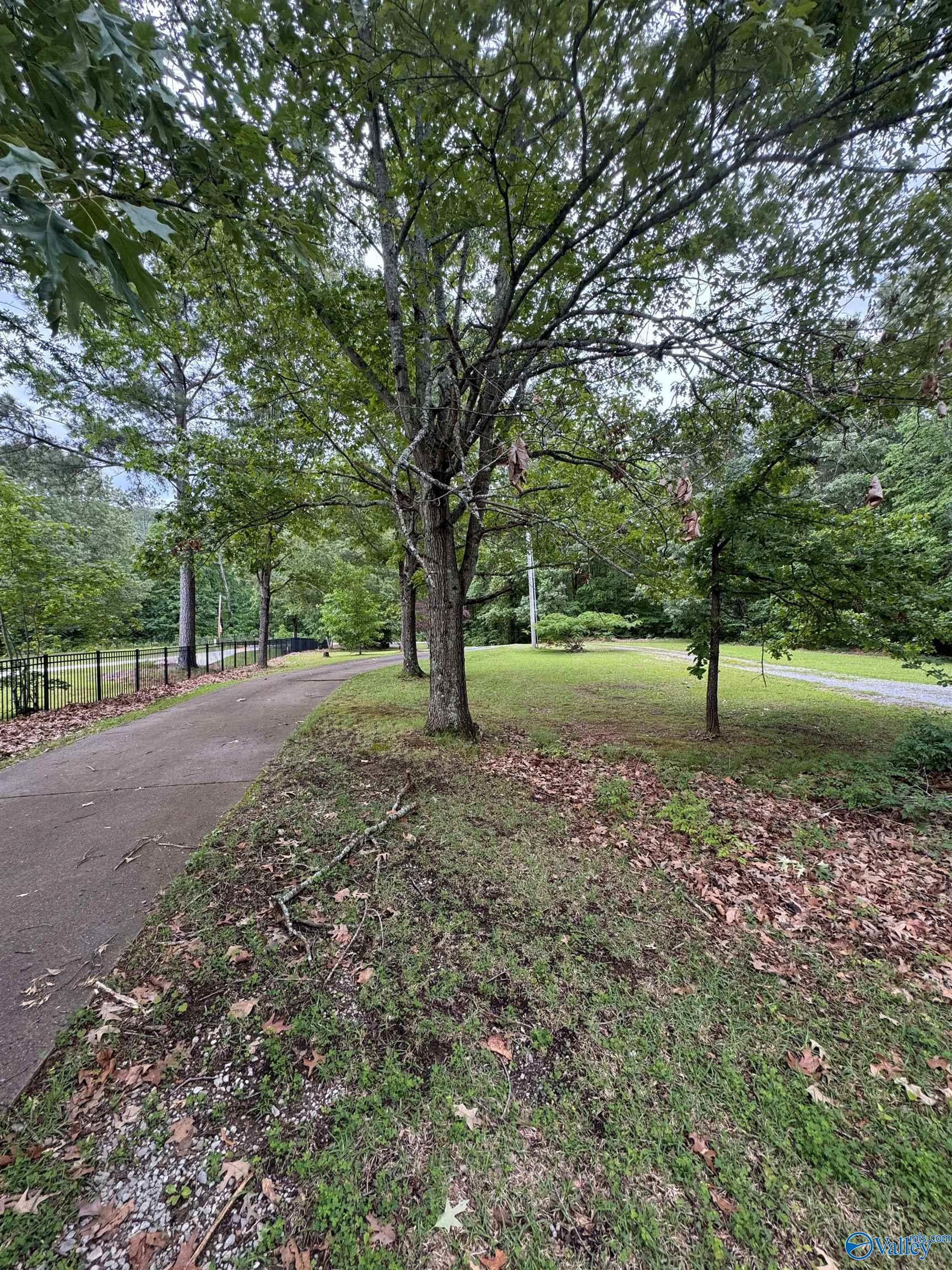 2585 County Road 67, Scottsboro, Alabama image 30
