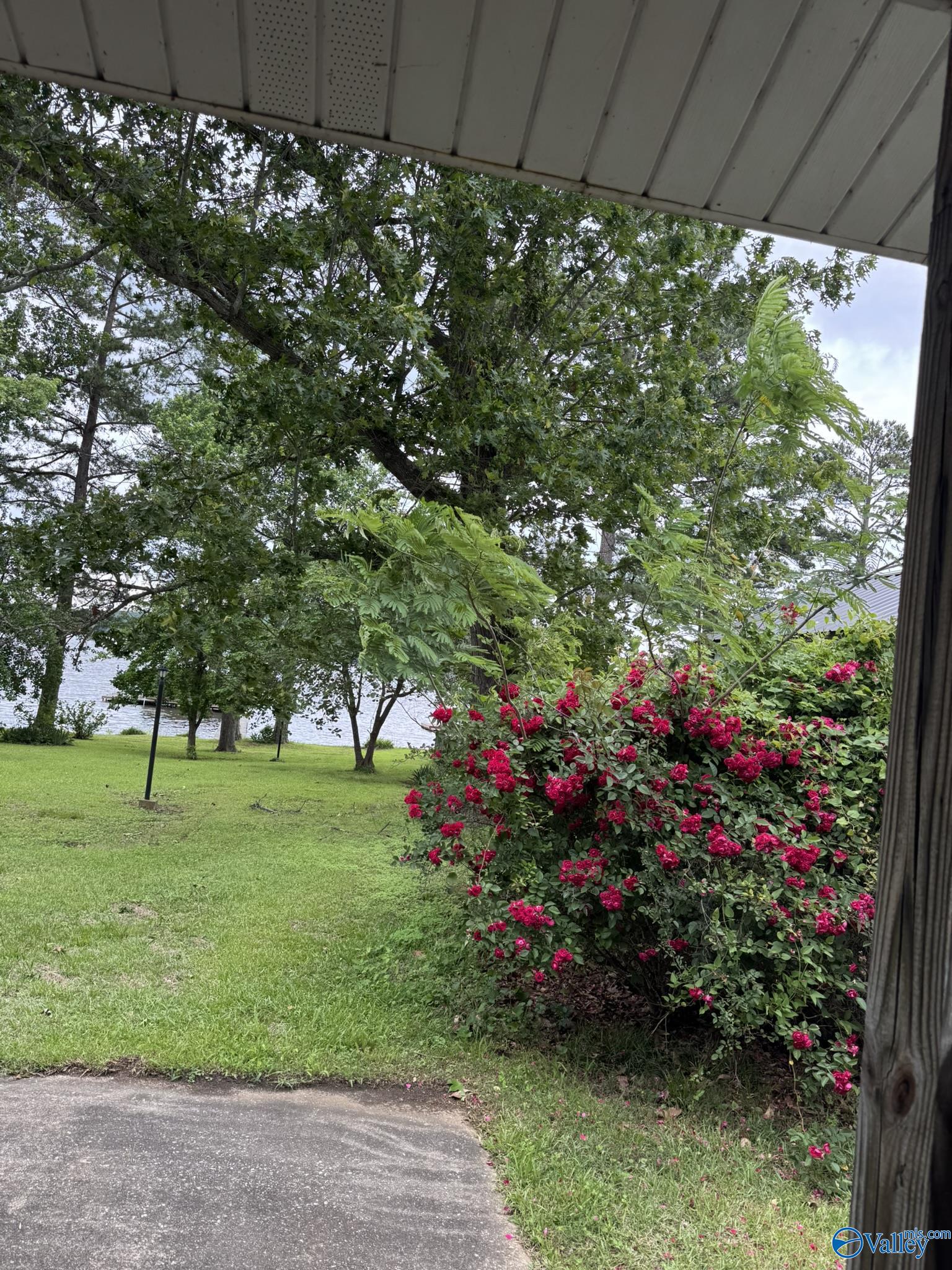 2585 County Road 67, Scottsboro, Alabama image 18