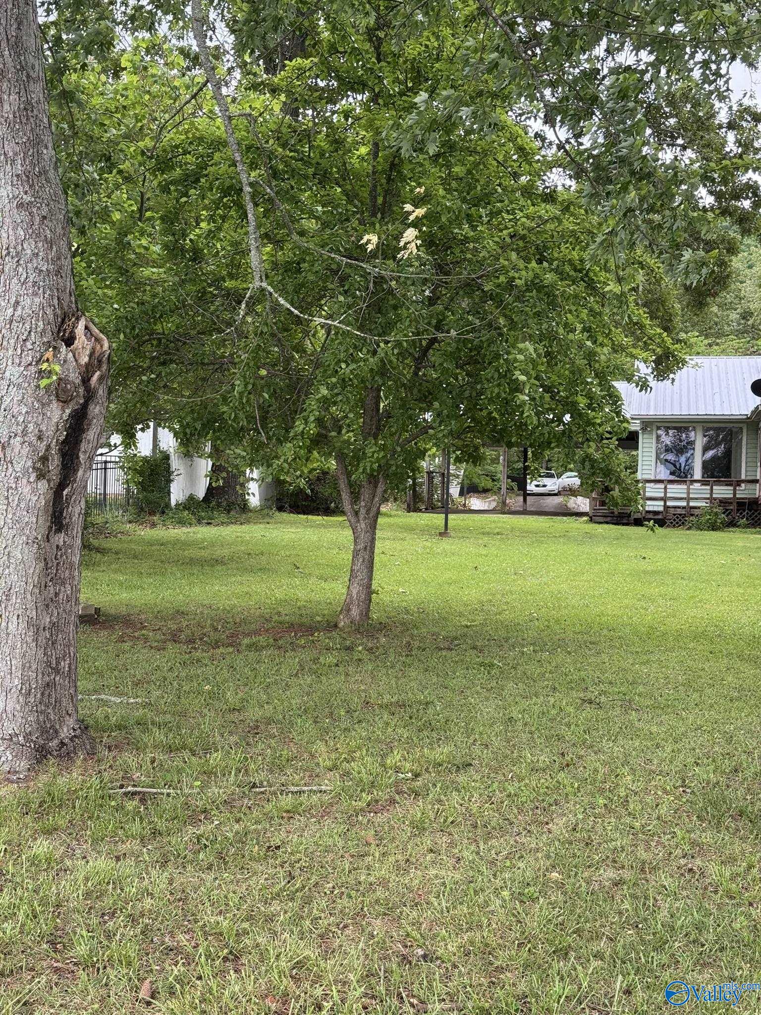 2585 County Road 67, Scottsboro, Alabama image 11