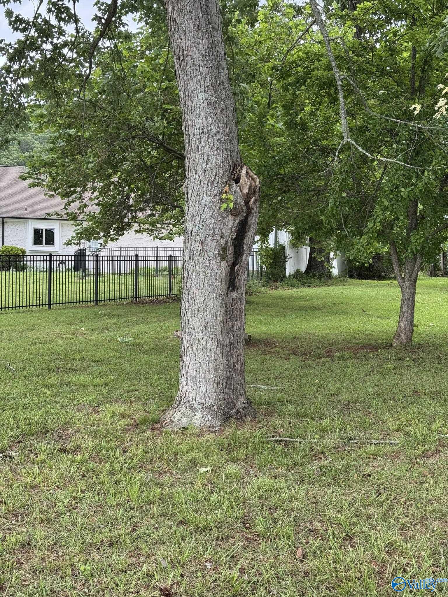 2585 County Road 67, Scottsboro, Alabama image 12