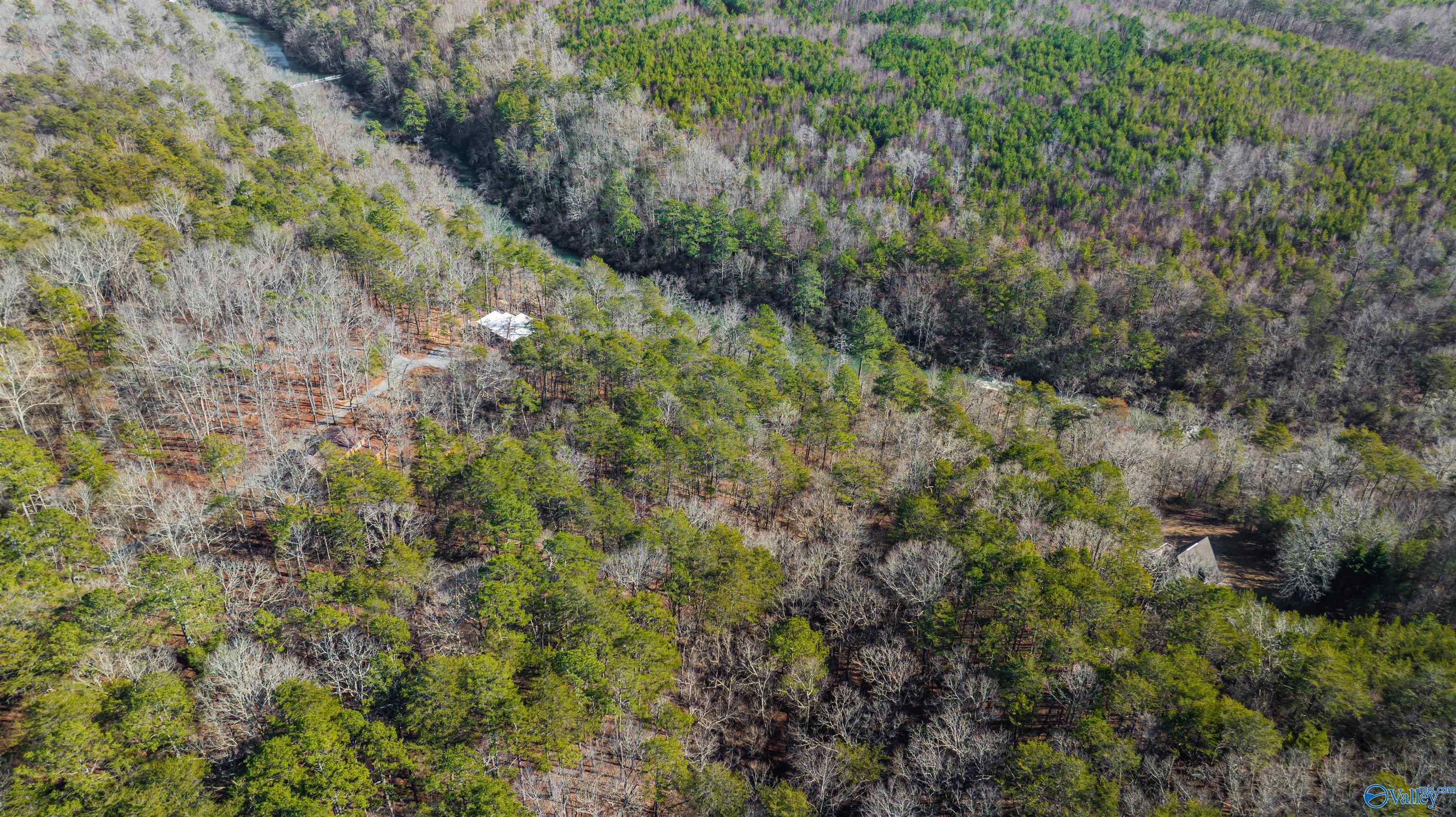 12.9ac Road 9062, Mentone, Alabama image 17