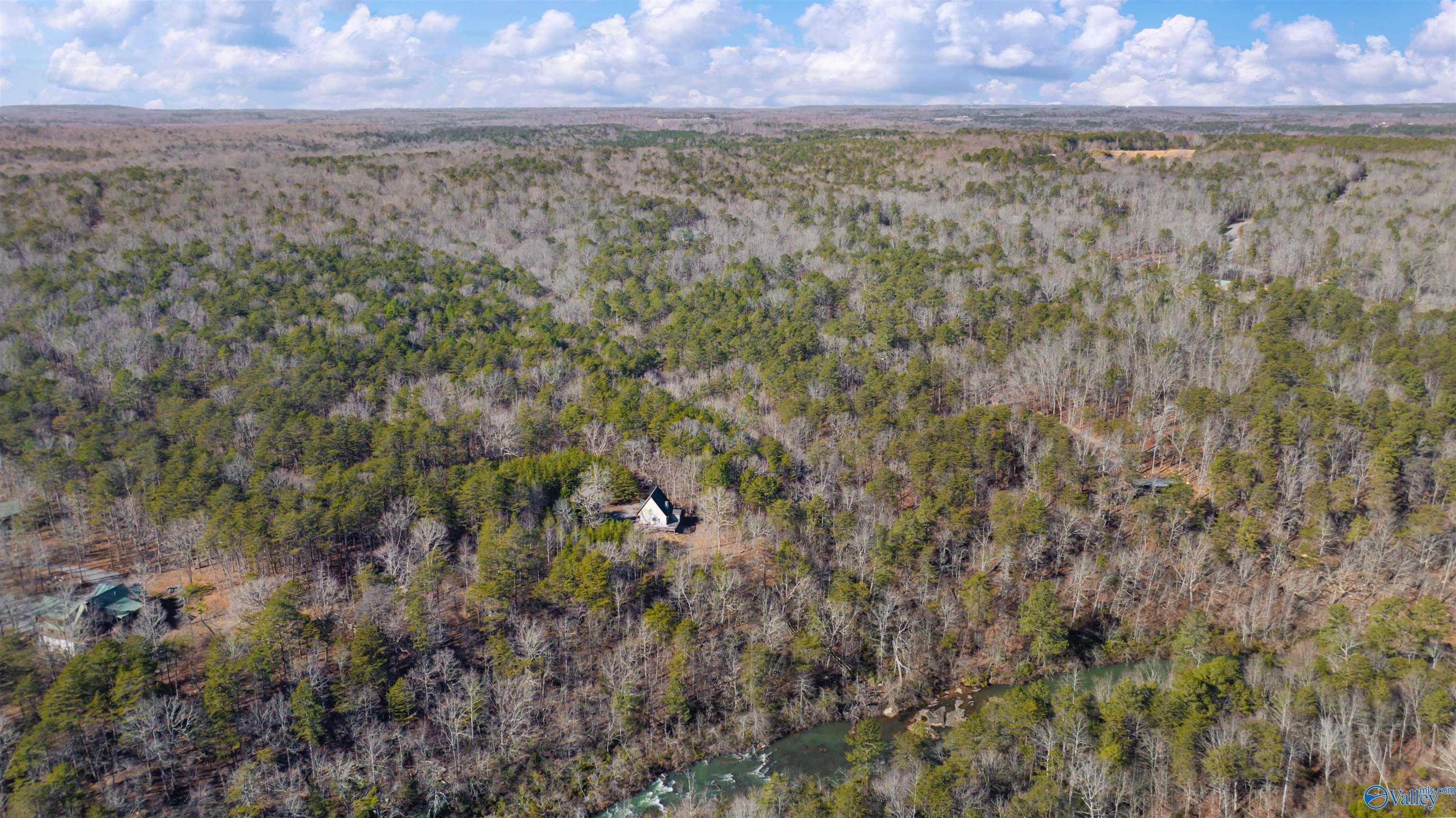 12.9ac Road 9062, Mentone, Alabama image 9