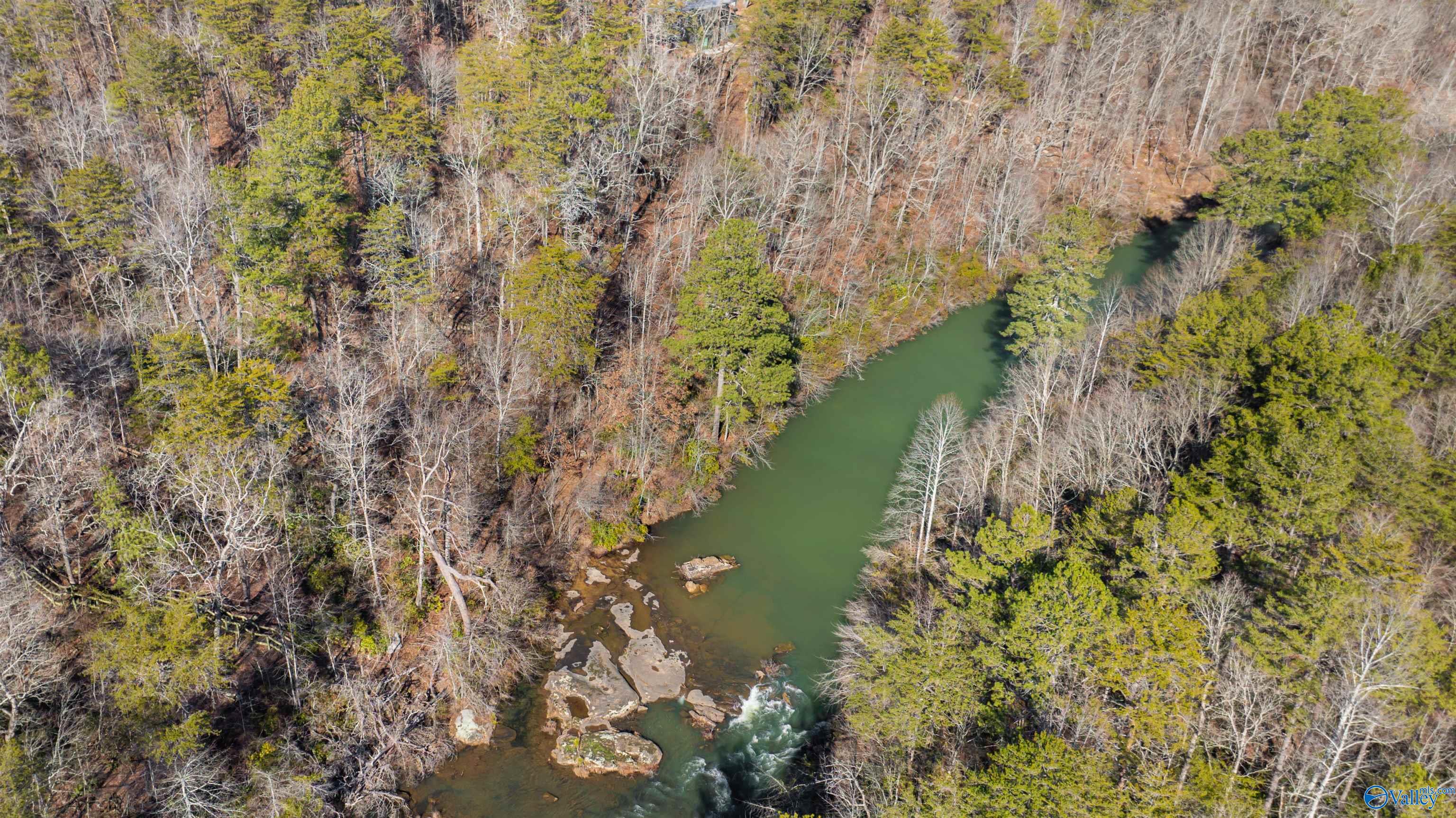 12.9ac Road 9062, Mentone, Alabama image 11