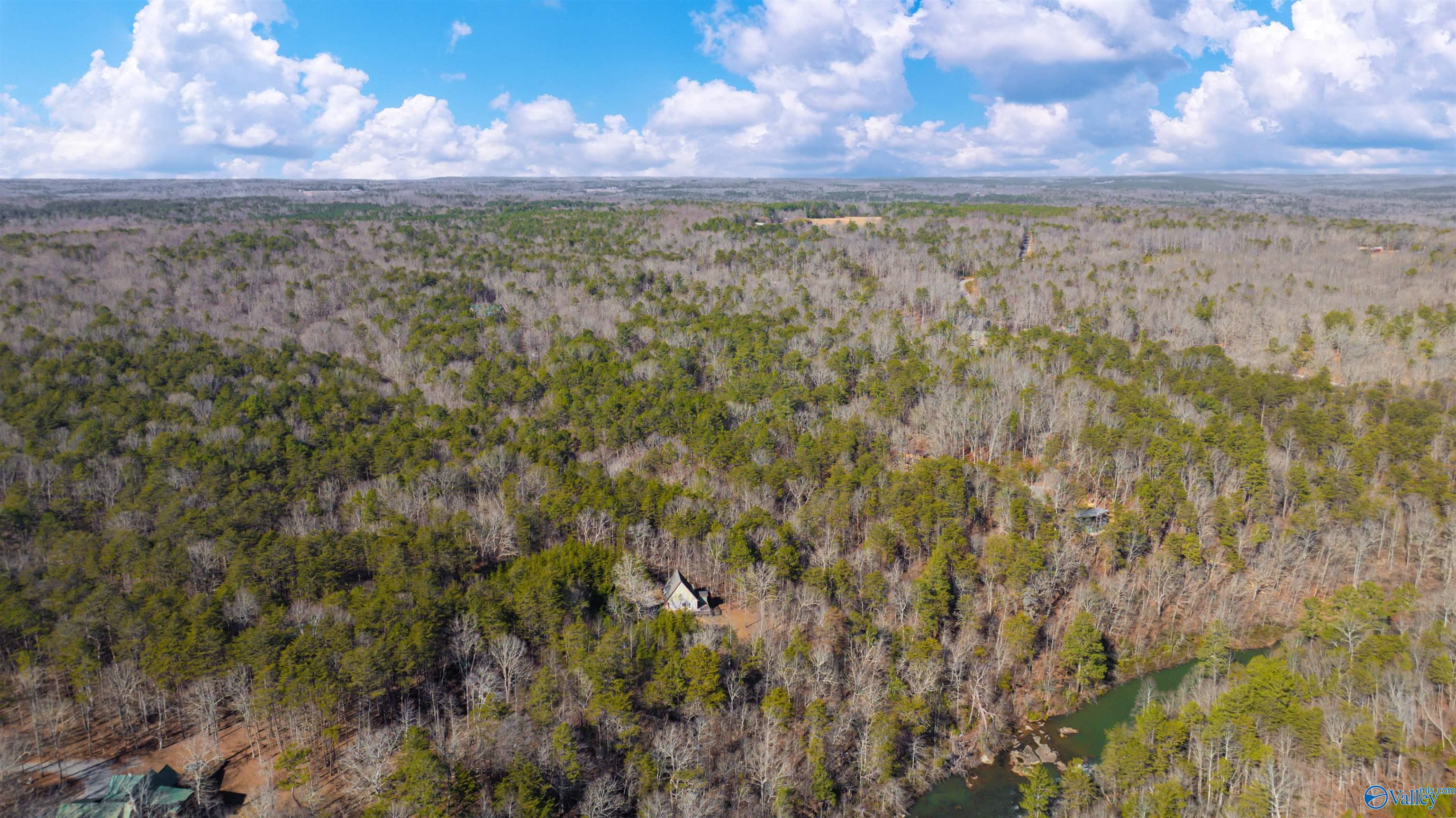 12.9ac Road 9062, Mentone, Alabama image 10