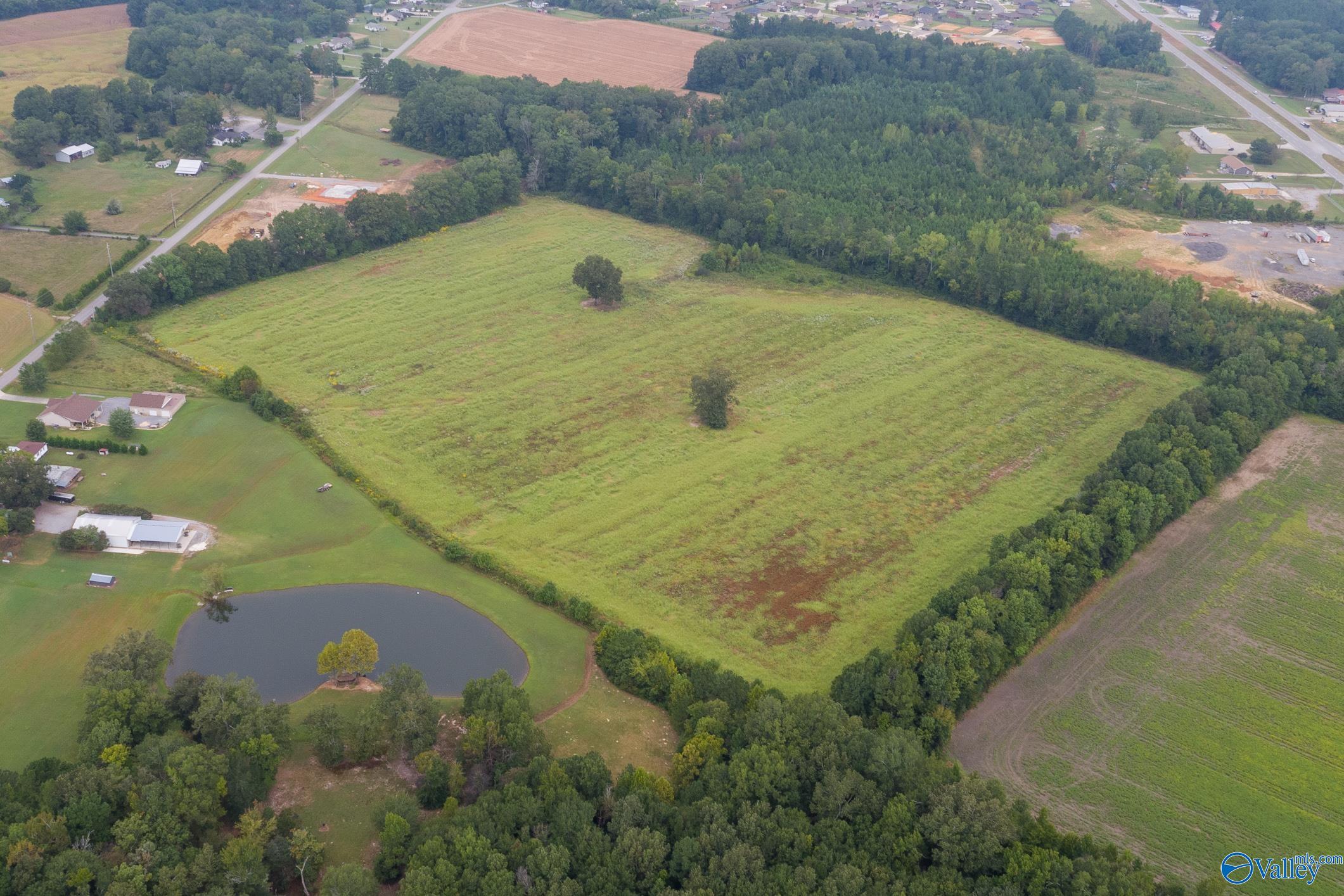 31.19 ACS Old Hwy 431, New Hope, Alabama image 7