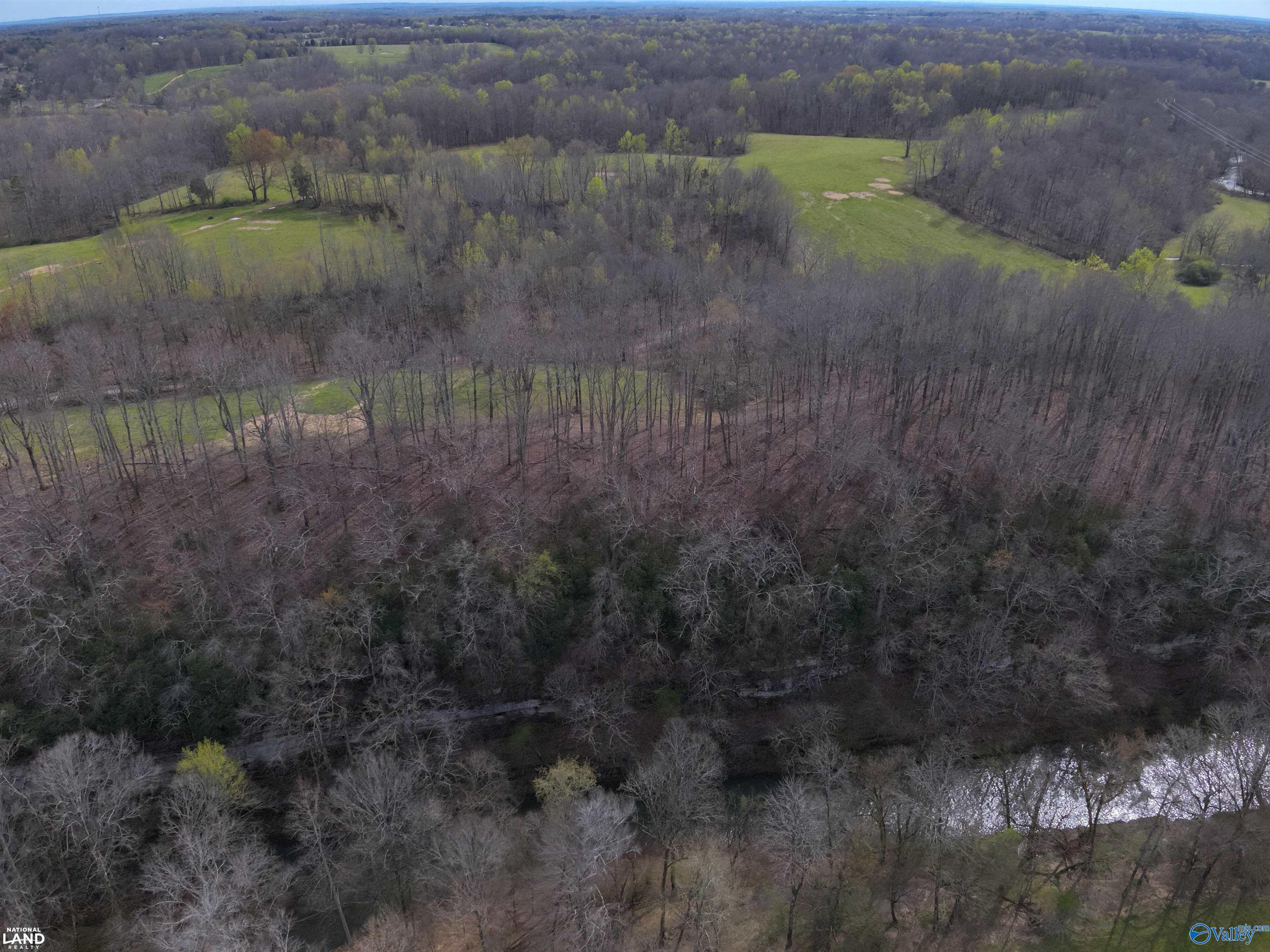 33 Acres County Road 35, Lexington, Alabama image 3