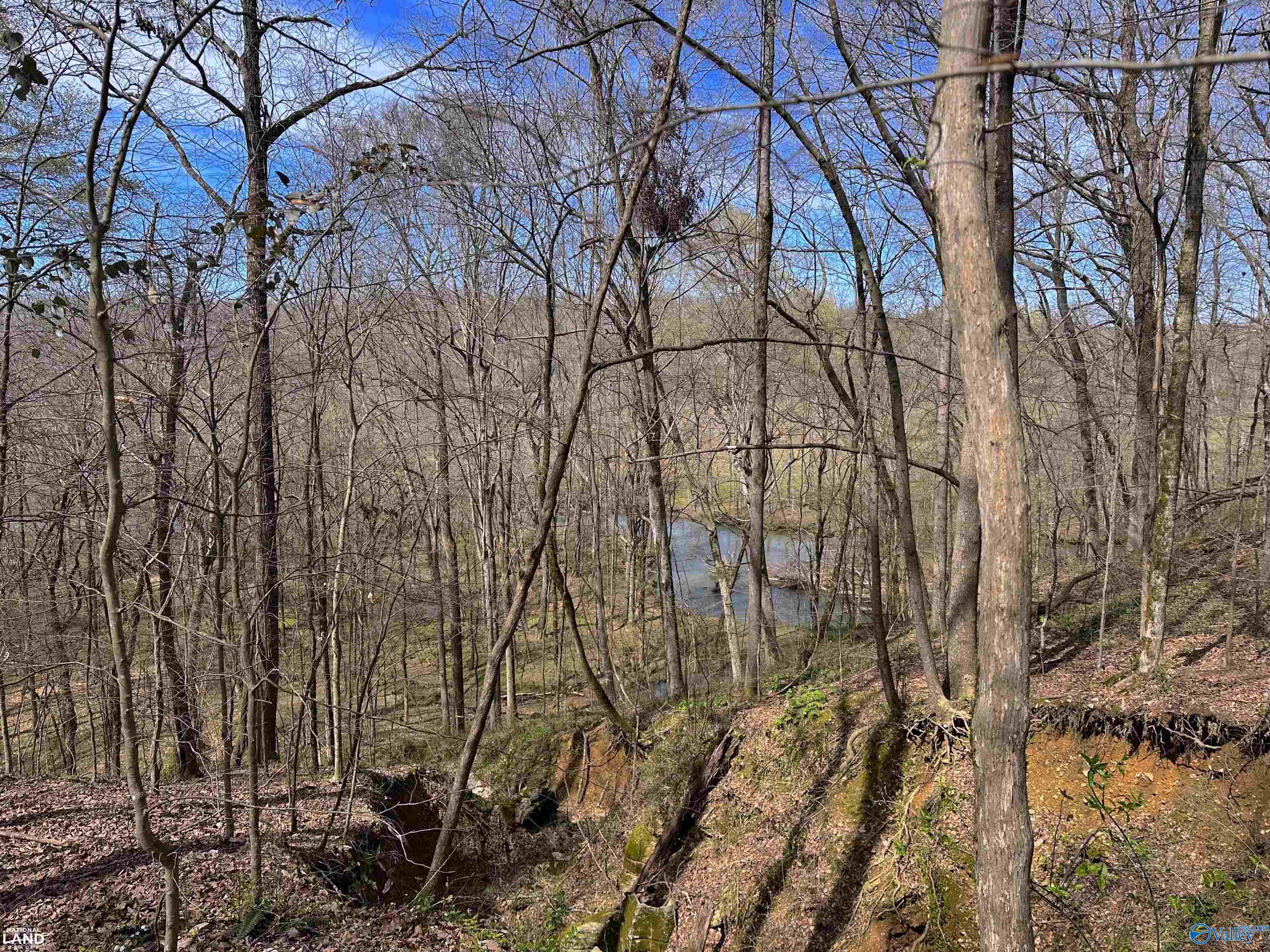 33 Acres County Road 35, Lexington, Alabama image 8