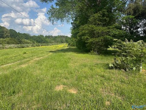 Vacant Land For Sale - 9999 Jefferson Street<br/> Limestone County, Athens, AL 35611