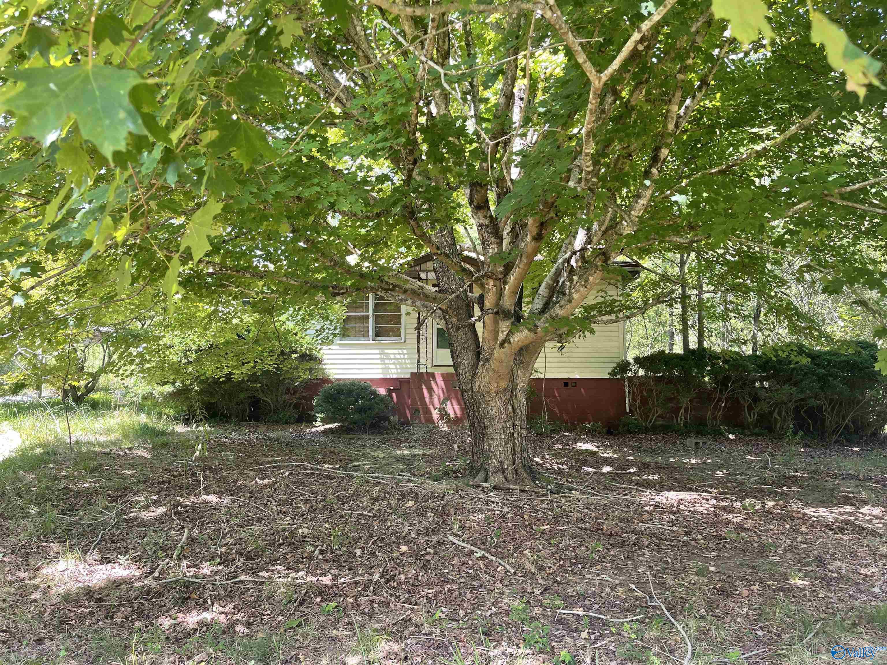 40 Homestead Lane, Remlap, Alabama image 10