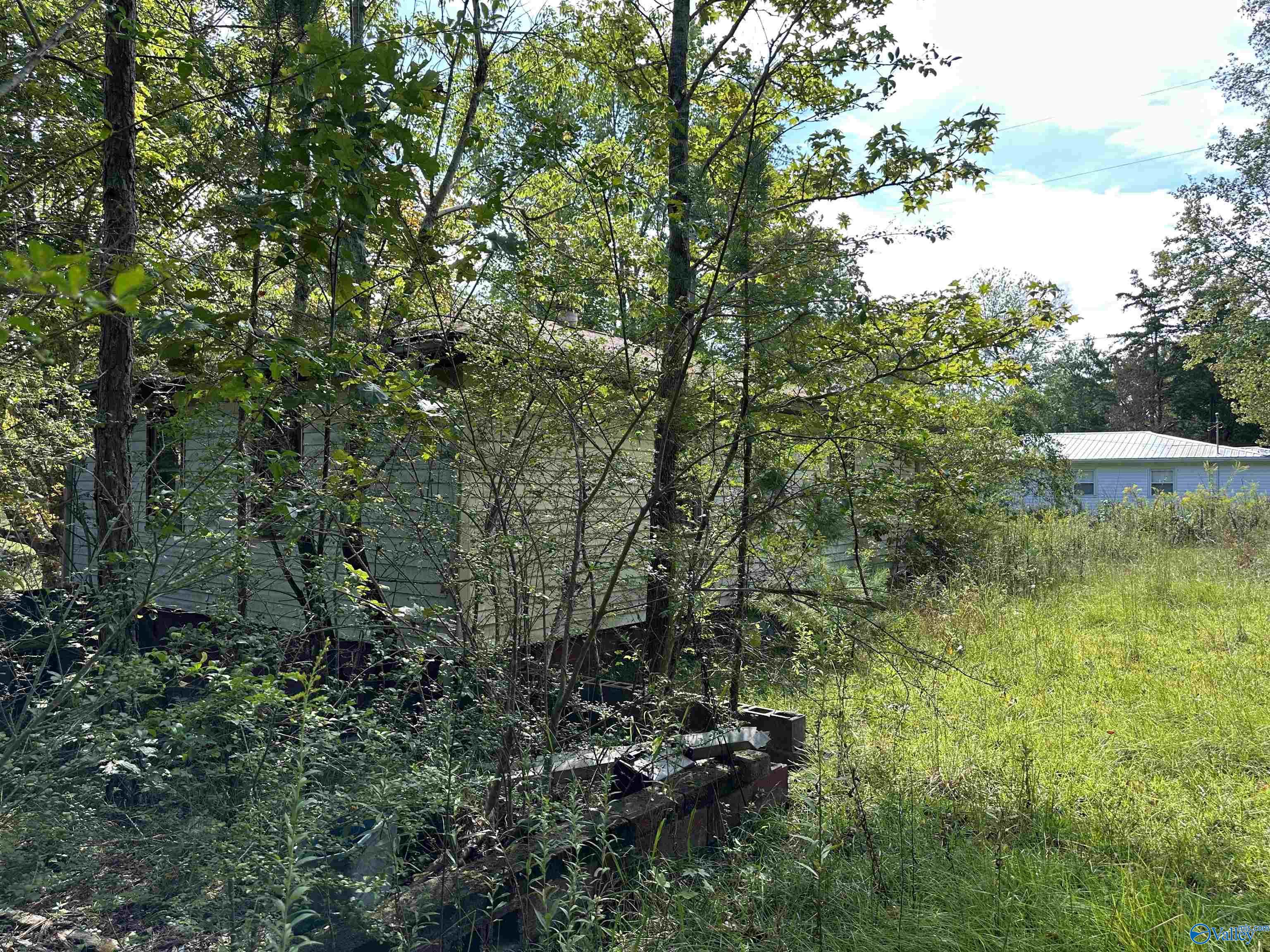 40 Homestead Lane, Remlap, Alabama image 8