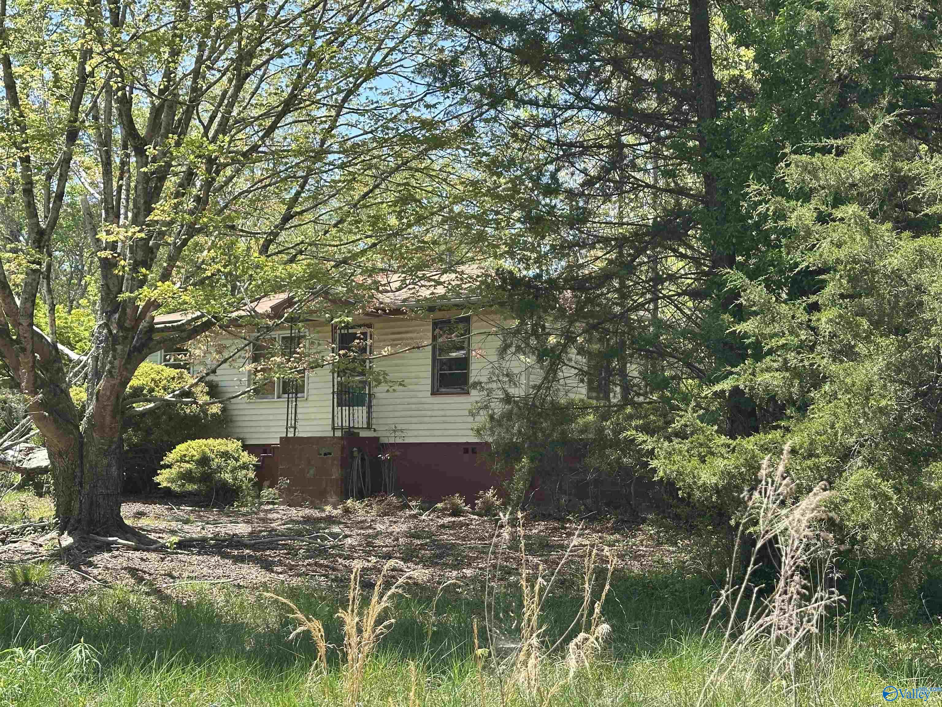 40 Homestead Lane, Remlap, Alabama image 4