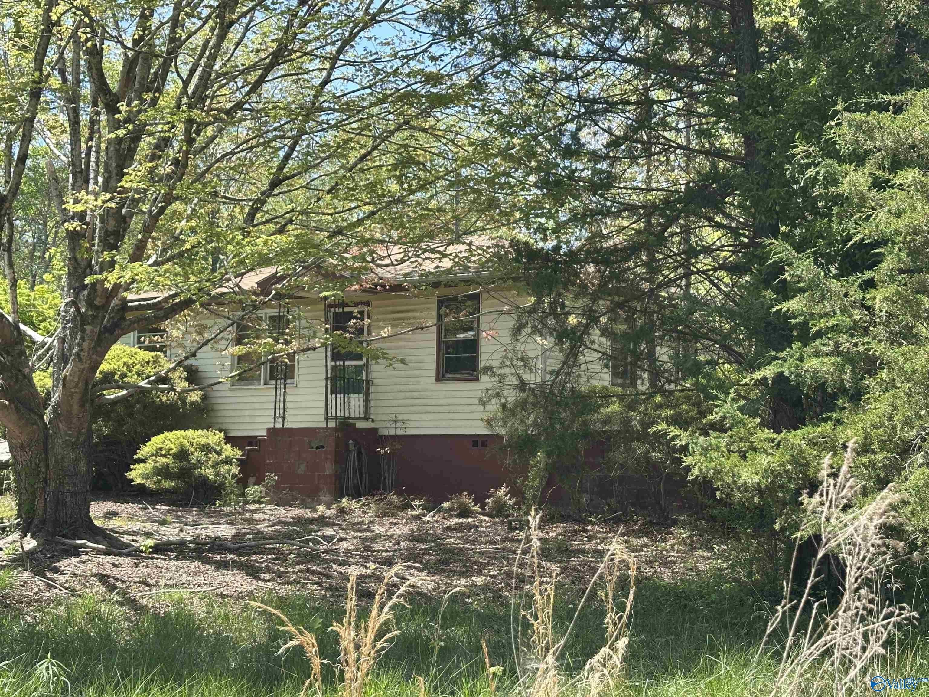 40 Homestead Lane, Remlap, Alabama image 3