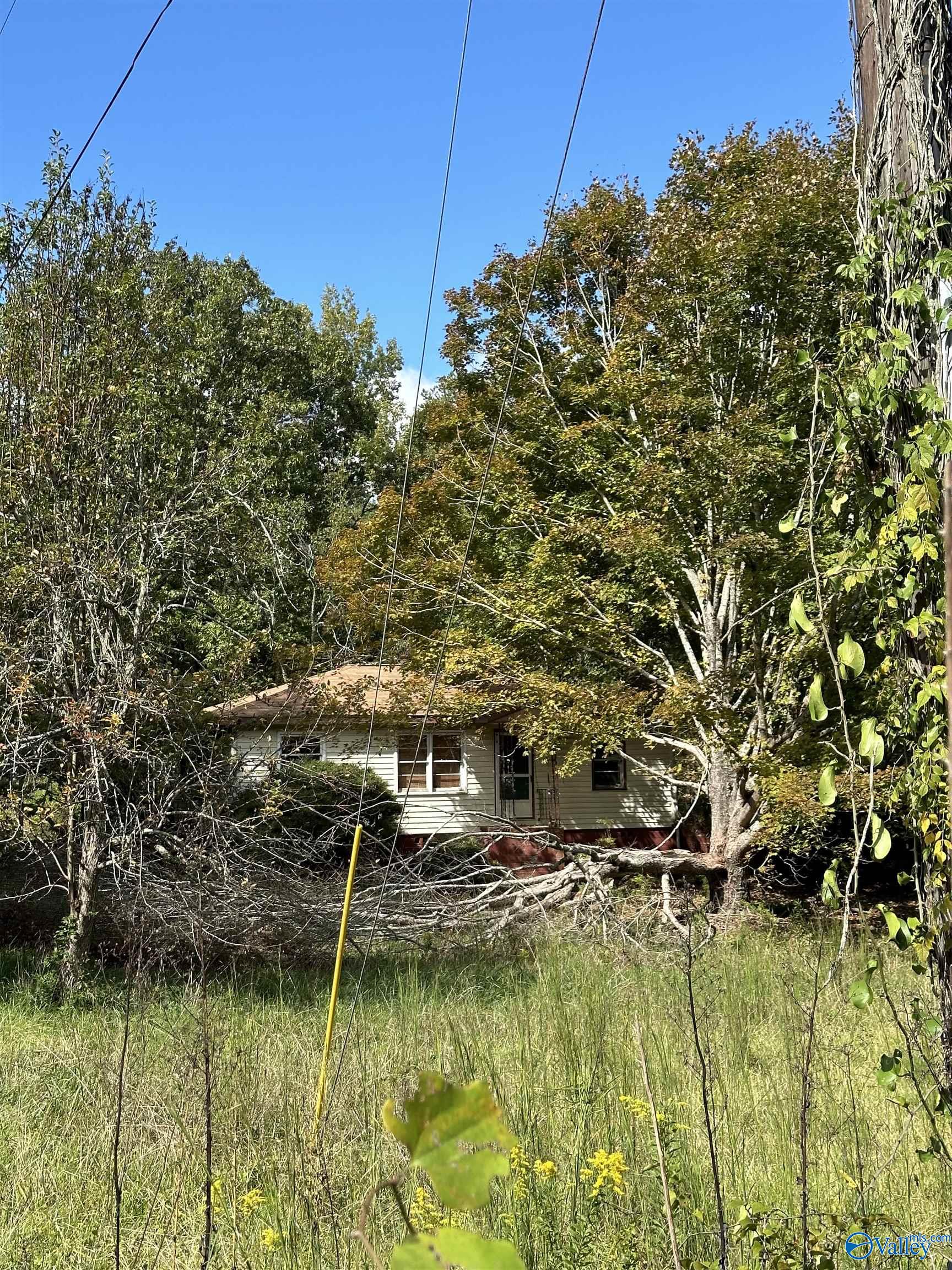 40 Homestead Lane, Remlap, Alabama image 7