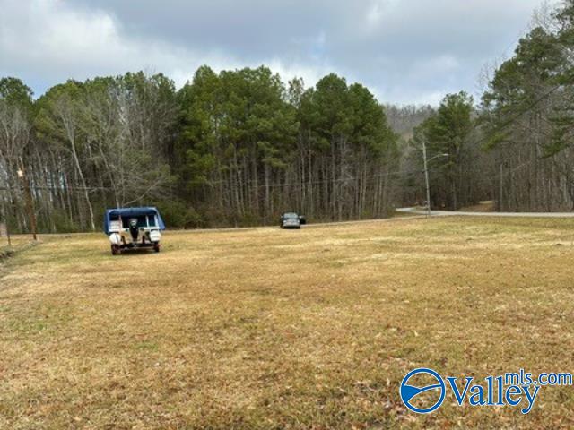 0.05 E Swindall Circle, Rainbow City, Alabama image 4