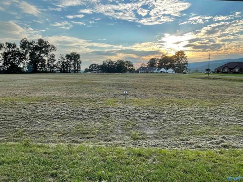 Vacant Land For Sale - 1104 Lake Forest Drive<br/> Etowah County, Southside, AL 35907