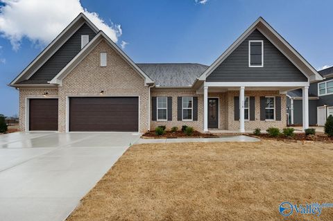 Photo of 6128 Abner Branch Boulevard, Owens Cross Roads, AL 35763 (MLS # 21908145)