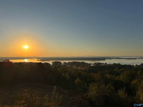 Vacant Land For Sale - LOT 5 County Road 1022 #5<br/> Cherokee County, Cedar Bluff, AL 35959