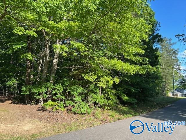 Lot 139 & 140 Boyd Drive, Gadsden, Alabama image 2