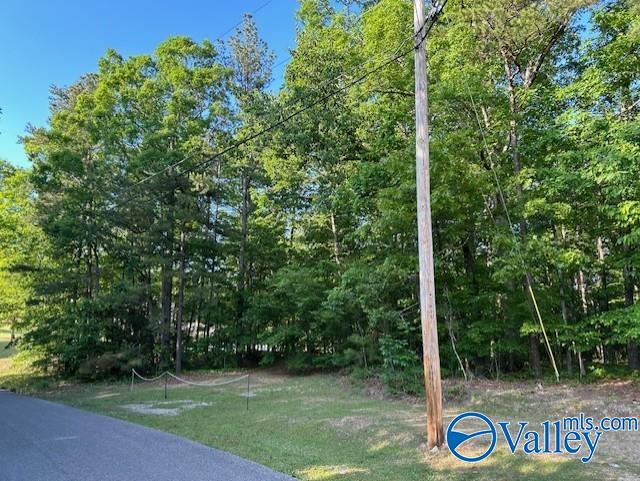 Lot 139 & 140 Boyd Drive, Gadsden, Alabama image 1