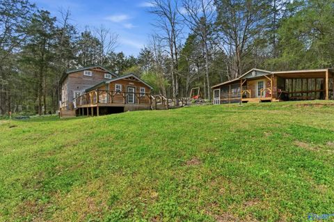 Photo of 3552 County Road 11, Scottsboro, AL 35768 (MLS # 21913922)