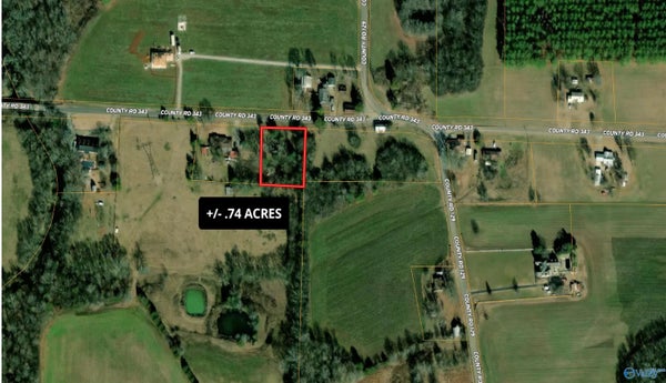 39 COUNTY RD 343, RUSSELLVILLE, AL 35654 - Image 39efb352afa56fb481a7c4dc93214d91/567919344