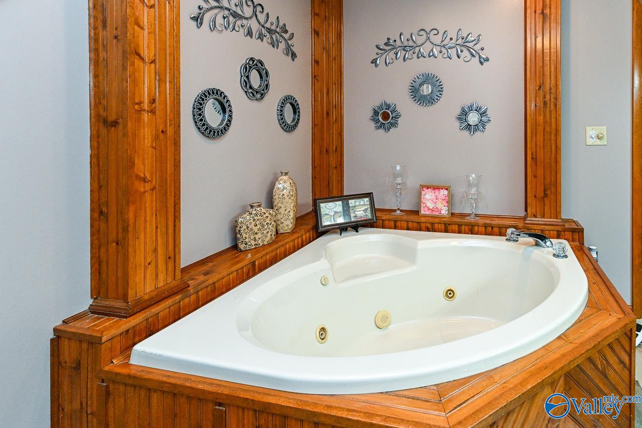 805 County Road 1459, Vinemont, Alabama image 28