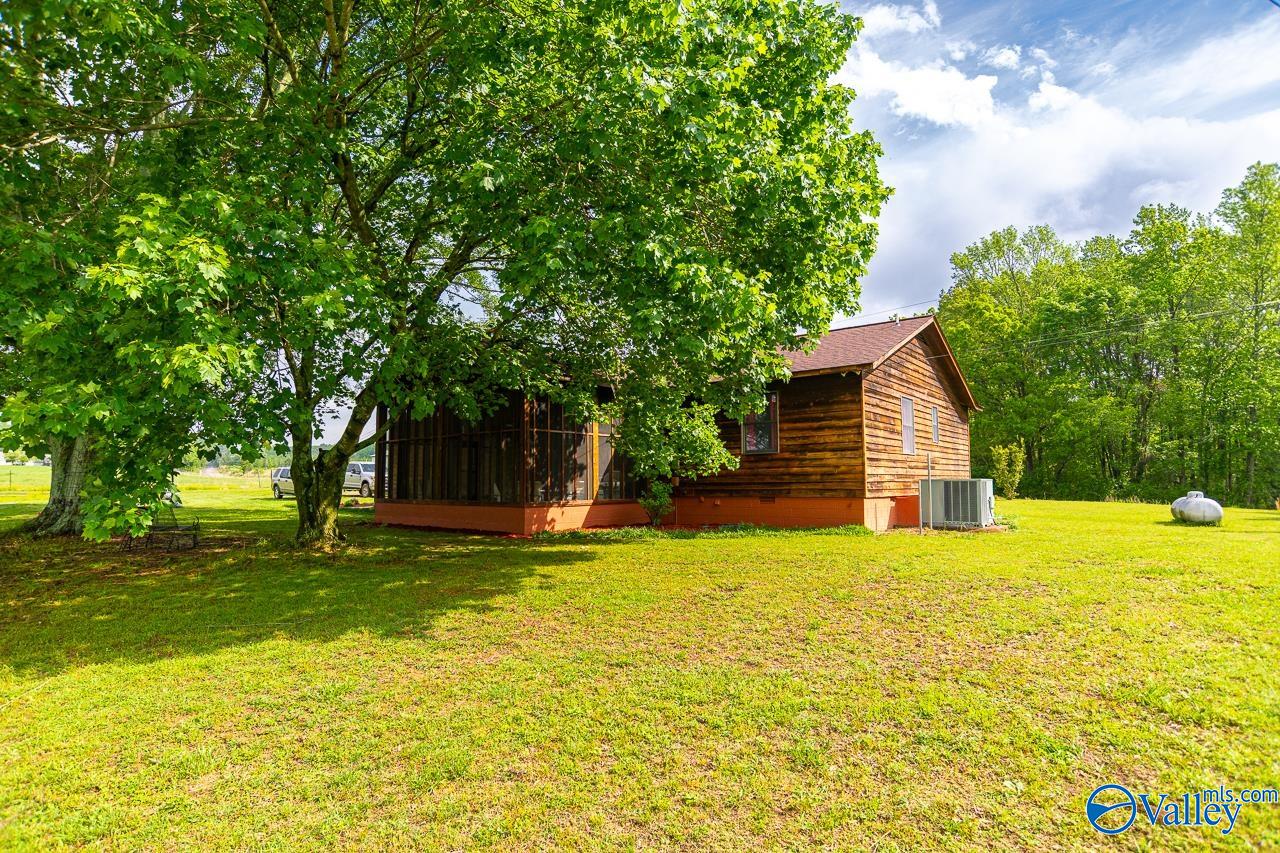 805 County Road 1459, Vinemont, Alabama image 10
