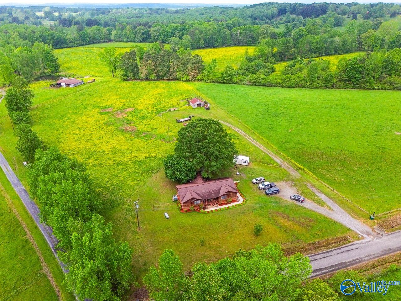 805 County Road 1459, Vinemont, Alabama image 37