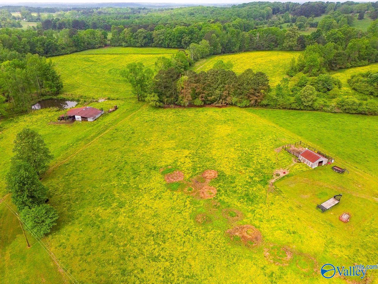 805 County Road 1459, Vinemont, Alabama image 40