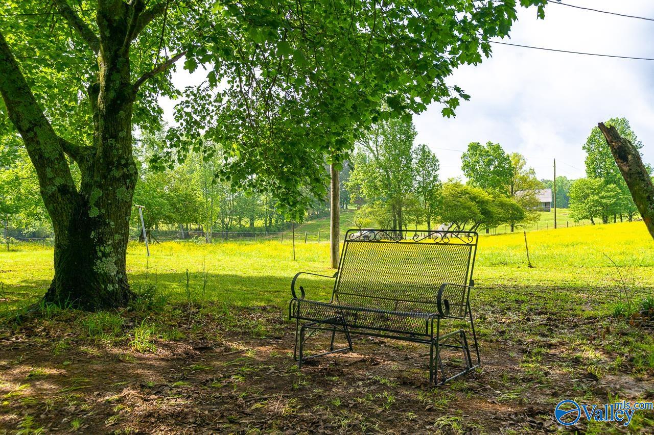 805 County Road 1459, Vinemont, Alabama image 8