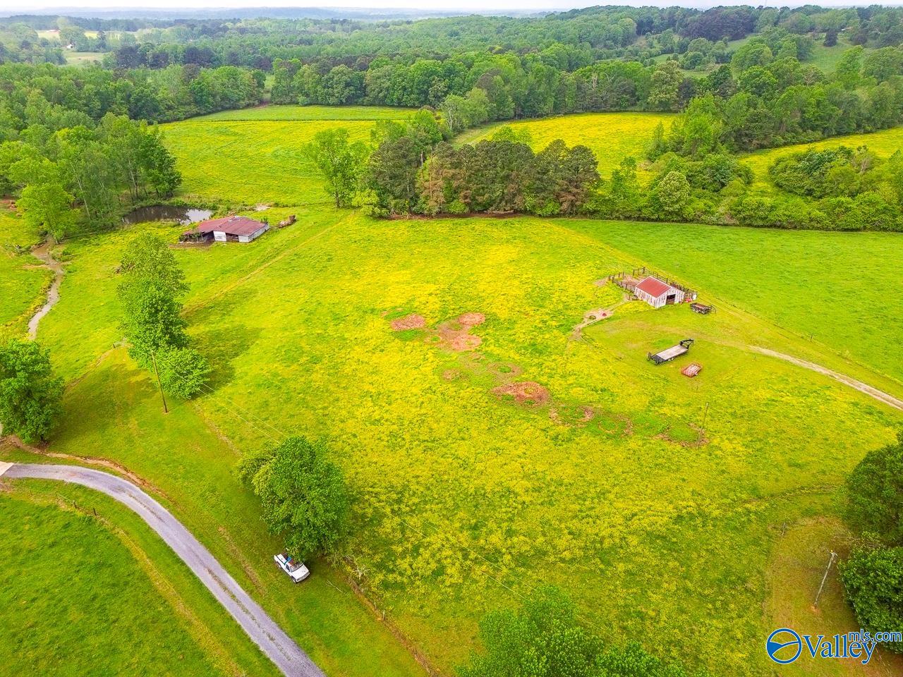 805 County Road 1459, Vinemont, Alabama image 39