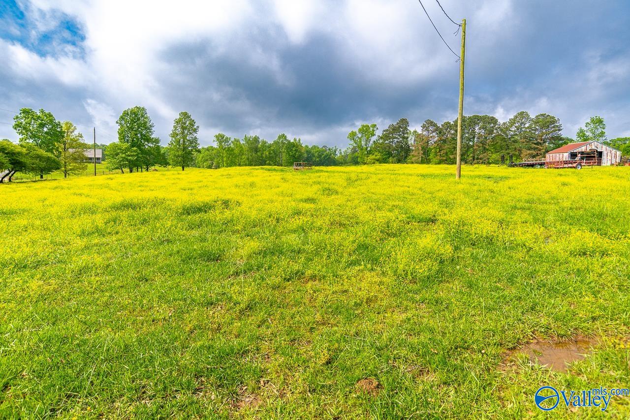 805 County Road 1459, Vinemont, Alabama image 9