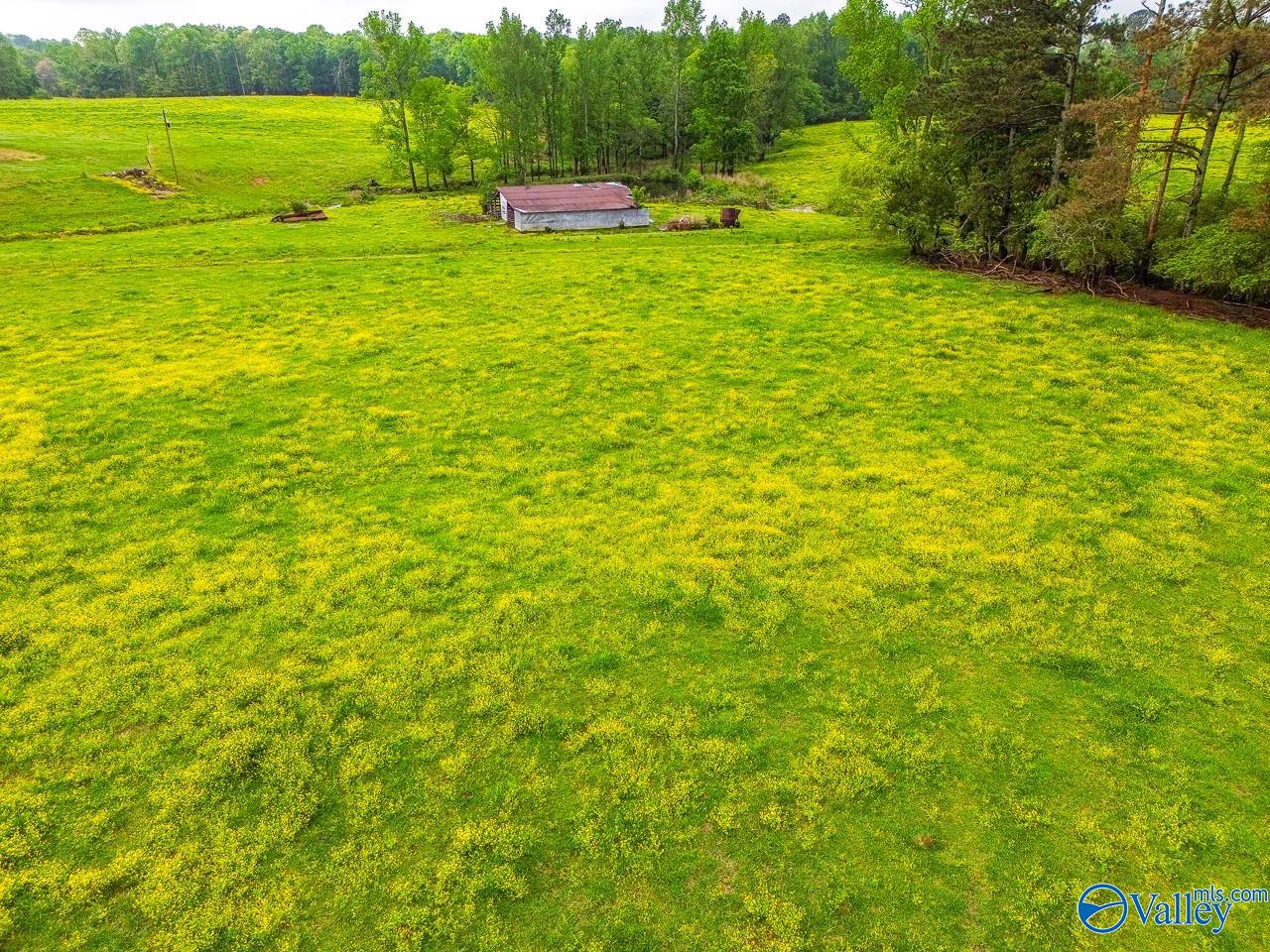 805 County Road 1459, Vinemont, Alabama image 44