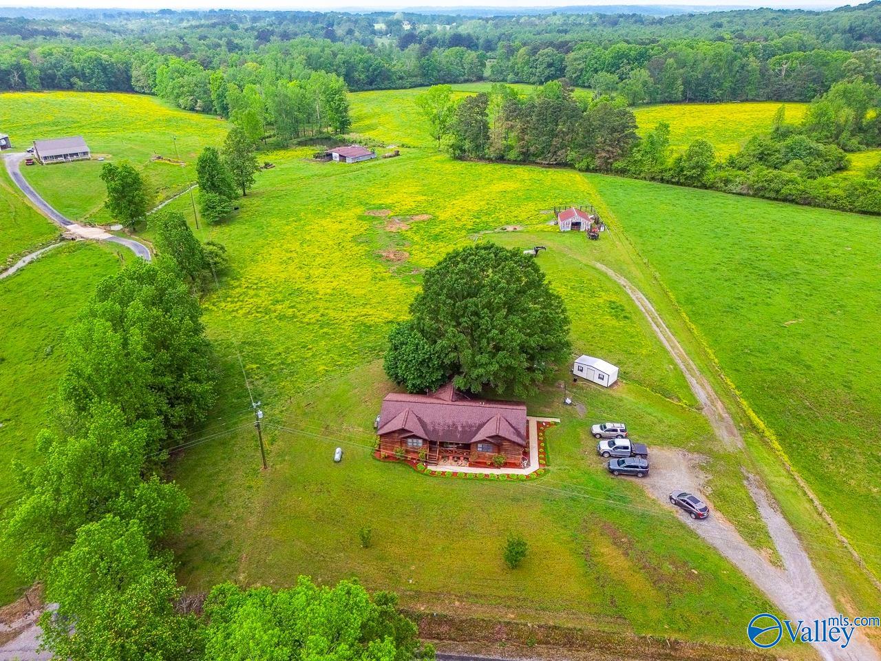 805 County Road 1459, Vinemont, Alabama image 36