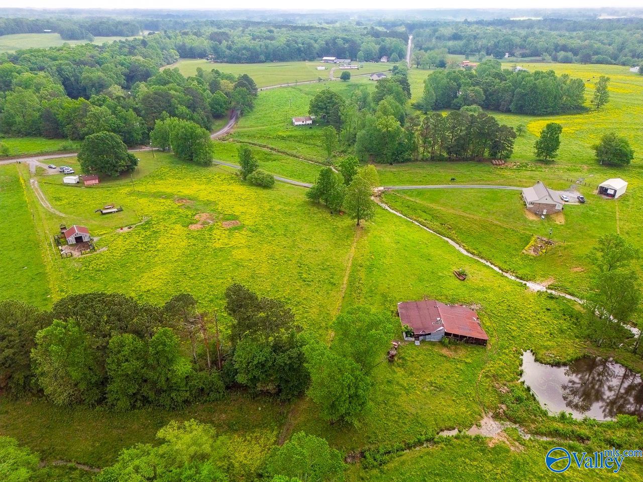 805 County Road 1459, Vinemont, Alabama image 42